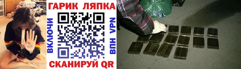 ГАШ Premium  OMG   Волгоград 