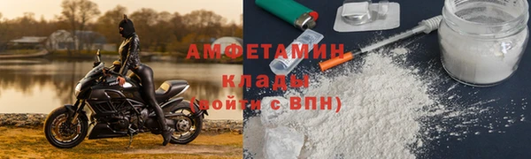 стаф Алзамай