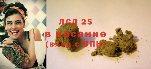 стаф Алзамай