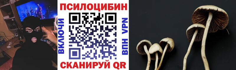 Галлюциногенные грибы мухоморы  сайты даркнета клад  Волгоград  blacksprut tor 